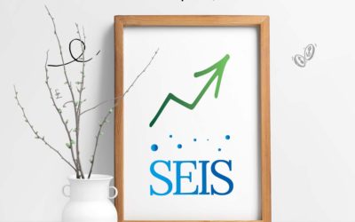 Seed Enterprise Investment ( SEIS)