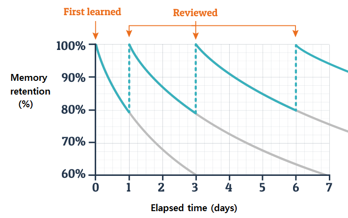 Ebbinghaus forgetting curve and review cycle